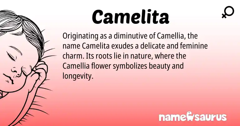 Infographic about Camelita name meaning, Camelita is a name from N/A origin(s).