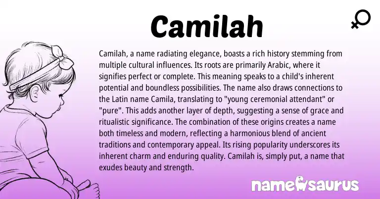 Infographic about Camilah name meaning, Camilah is a name from Arabic origin(s).