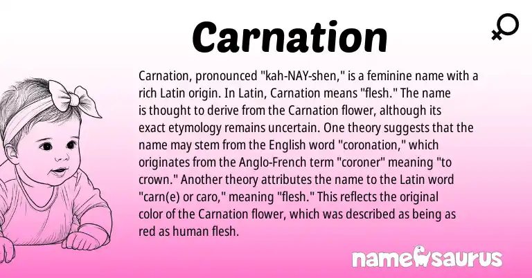 Infographic about Carnation name meaning, Carnation is a name from Anglo-French, English, Latin origin(s).