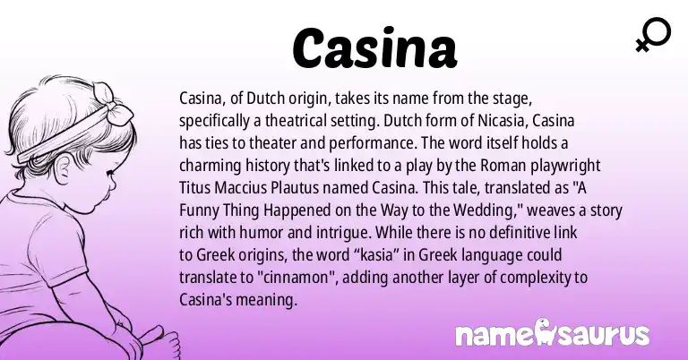 Infographic about Casina name meaning, Casina is a name from Dutch, Theatre origin(s).