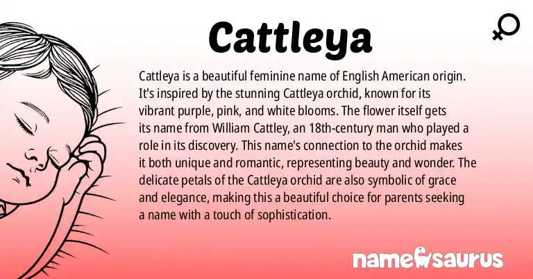 Infographic about Cattleya name meaning, Cattleya is a name from English (American) origin(s).