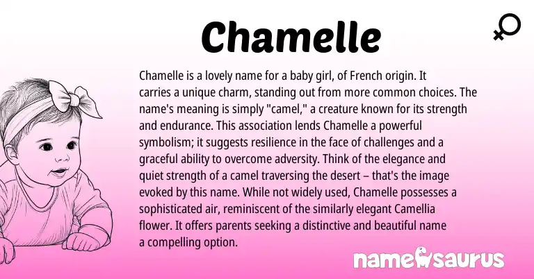 Infographic about Chamelle name meaning, Chamelle is a name from French origin(s).