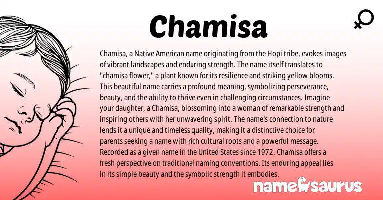 Infographic about Chamisa name meaning, Chamisa is a name from Hopi, American origin(s).
