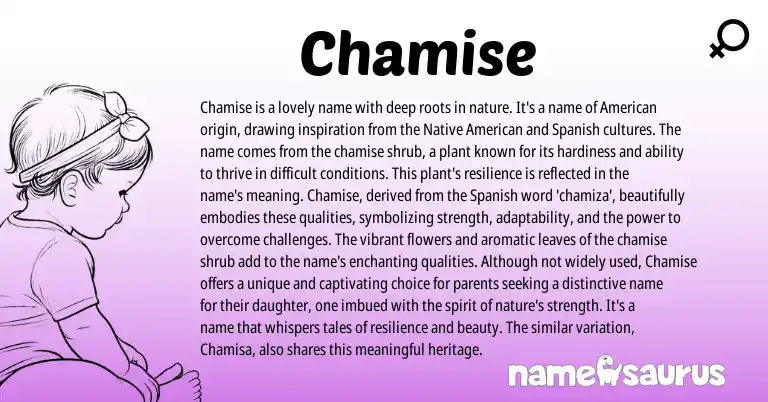 Infographic about Chamise name meaning, Chamise is a name from Spanish, Western, American origin(s).
