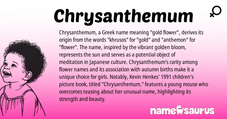 Infographic about Chrysanthemum name meaning, Chrysanthemum is a name from Japanese, Greek origin(s).