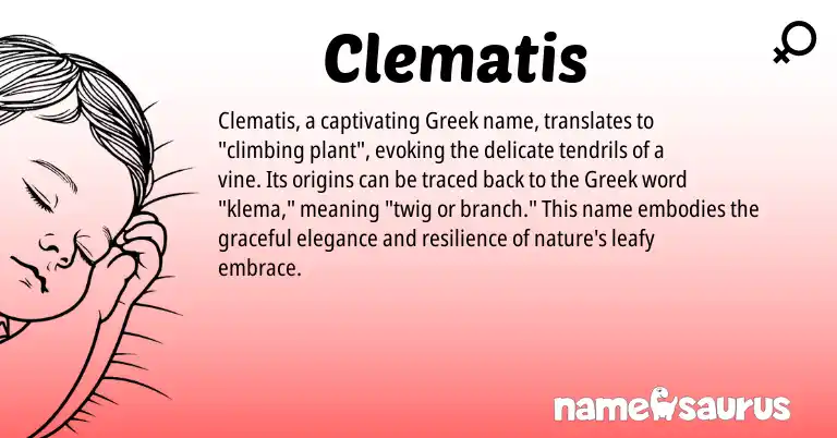 Infographic about Clematis name meaning, Clematis is a name from Greek origin(s).