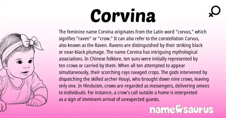 Infographic about Corvina name meaning, Corvina is a name from Chinese, Hinduism, Latin origin(s).