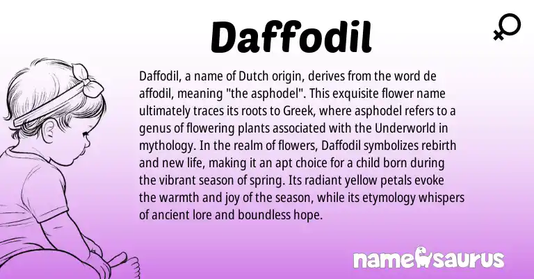 Infographic about Daffodil name meaning, Daffodil is a name from Dutch, Greek origin(s).