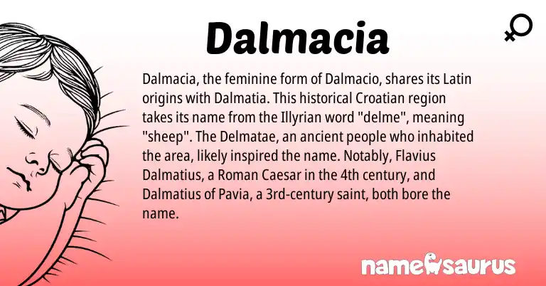 Infographic about Dalmacia name meaning, Dalmacia is a name from Roman, Croatian, Latin origin(s).