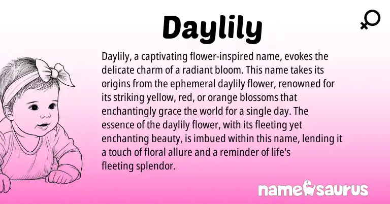 Infographic about Daylily name meaning, Daylily is a name from N/A origin(s).