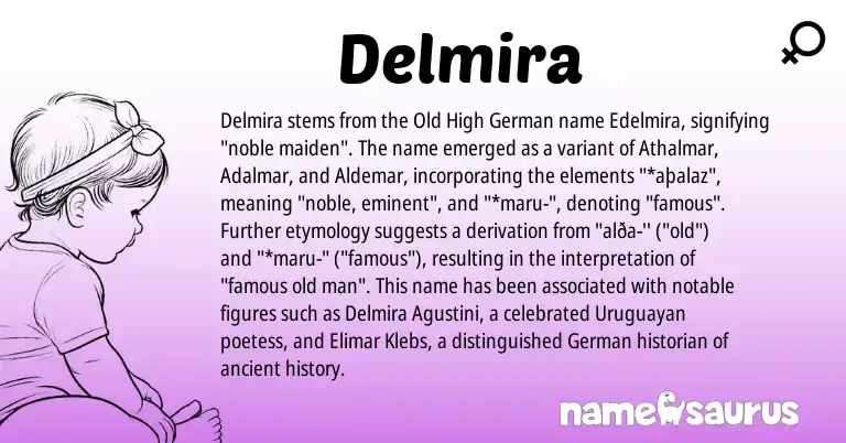 Infographic about Delmira name meaning, Delmira is a name from Old High German, German origin(s).