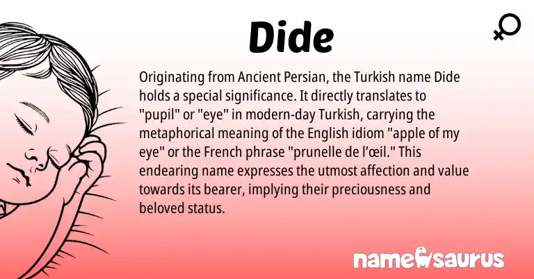 Infographic about Dide name meaning, Dide is a name from English, French, Persian, Turkish origin(s).