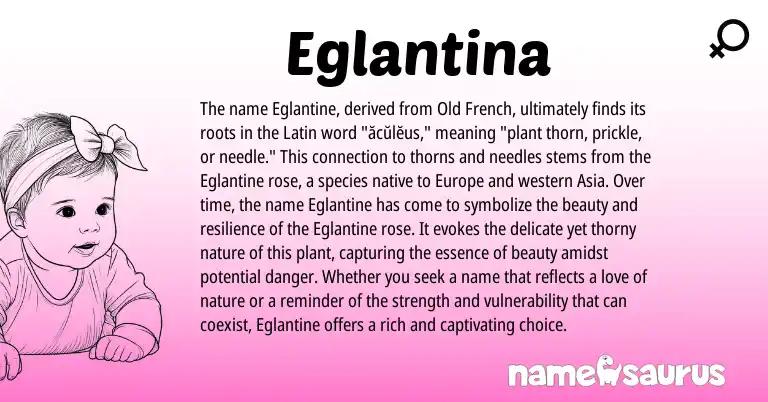 Infographic about Eglantina name meaning, Eglantina is a name from Latin, Old French origin(s).