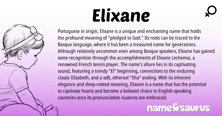 Infographic about Elixane name meaning, Elixane is a name from Basque, English, French, Portuguese origin(s).