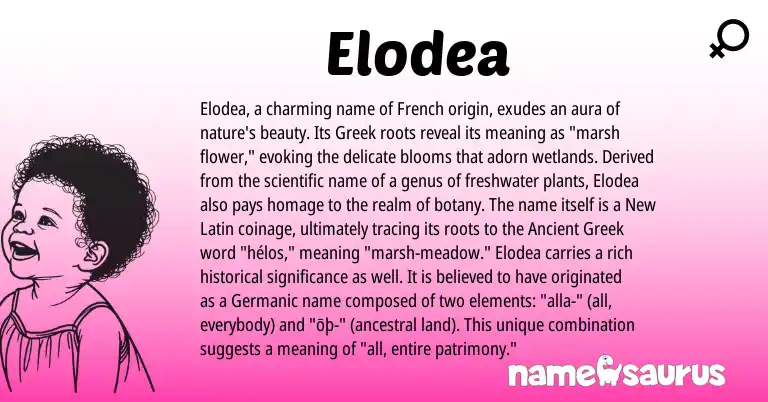 Infographic about Elodea name meaning, Elodea is a name from Ancient Greek, French, Germanic, Latin, Greek origin(s).