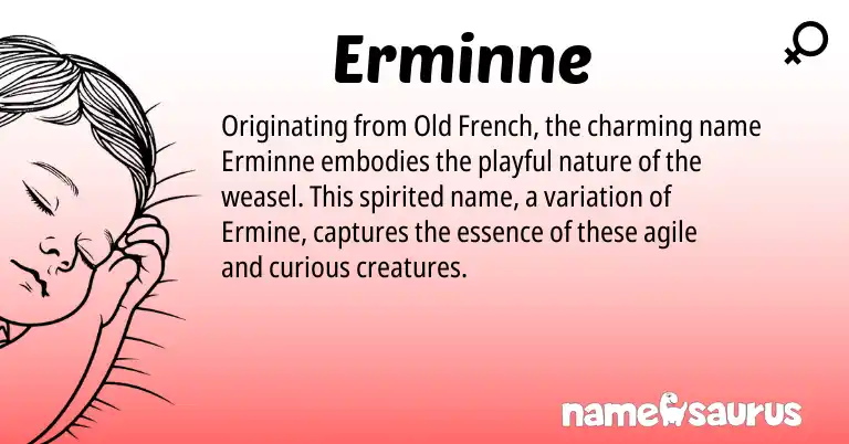 Infographic about Erminne name meaning, Erminne is a name from Old French origin(s).