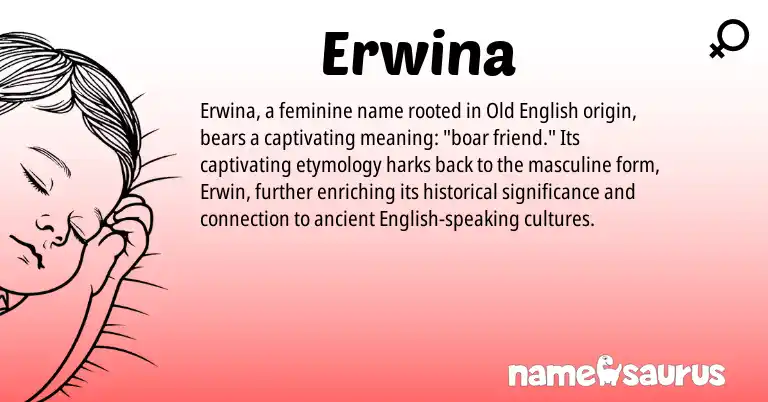 Infographic about Erwina name meaning, Erwina is a name from Old English, English origin(s).