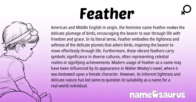 Infographic about Feather name meaning, Feather is a name from Middle English, American, Modern origin(s).