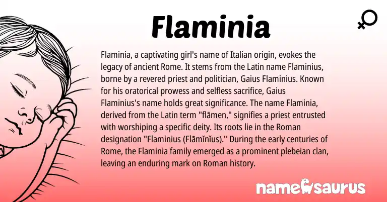 Infographic about Flaminia name meaning, Flaminia is a name from Roman, Latin, Italian origin(s).