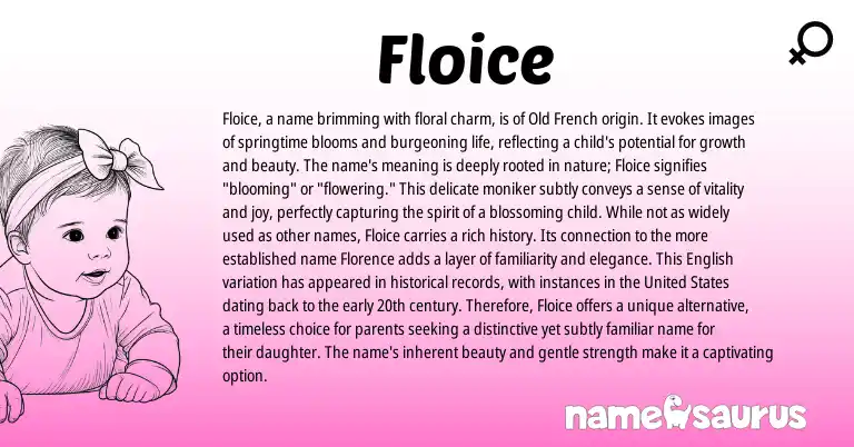 Infographic about Floice name meaning, Floice is a name from French origin(s).