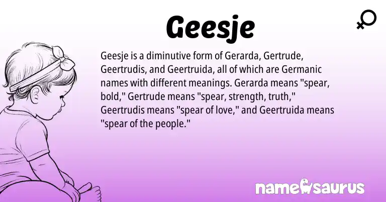 Infographic about Geesje name meaning, Geesje is a name from Germanic origin(s).