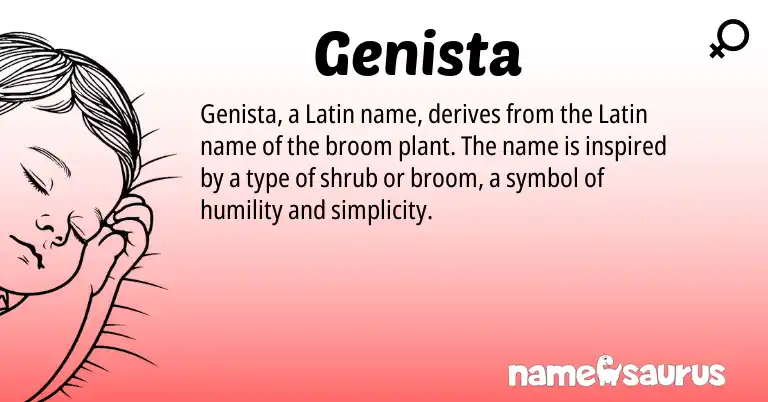 Infographic about Genista name meaning, Genista is a name from Latin origin(s).