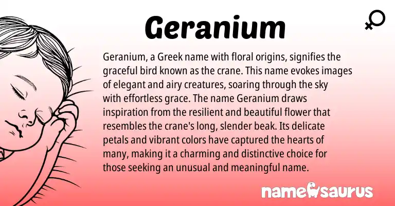 Infographic about Geranium name meaning, Geranium is a name from Greek origin(s).