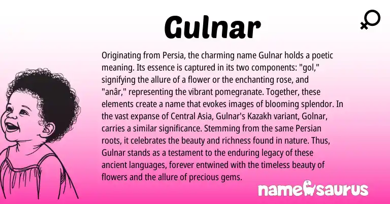Infographic about Gulnar name meaning, Gulnar is a name from Persian, Kazakh origin(s).