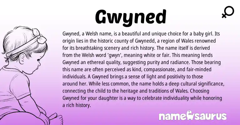 Infographic about Gwyned name meaning, Gwyned is a name from Welsh origin(s).