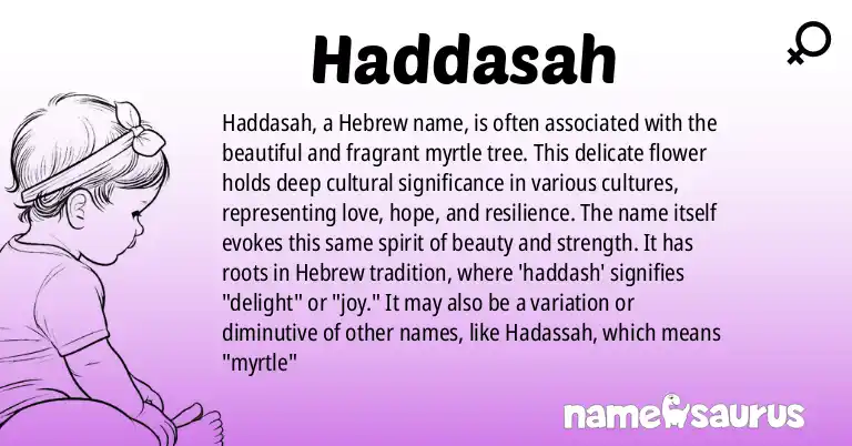 Infographic about Haddasah name meaning, Haddasah is a name from Hebrew origin(s).