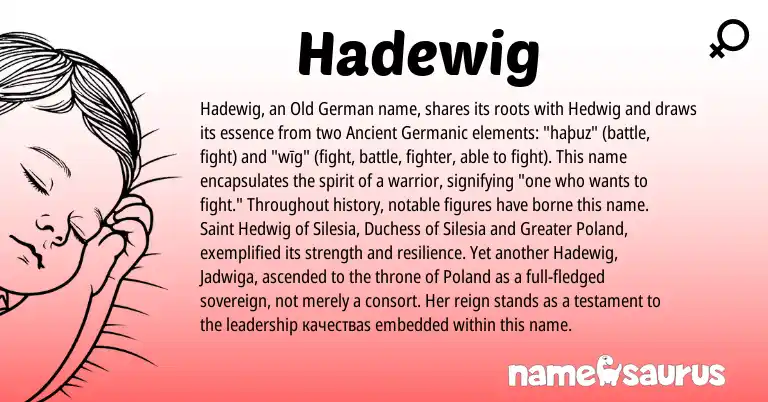 Infographic about Hadewig name meaning, Hadewig is a name from Old German, Ancient Germanic origin(s).