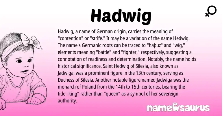 Infographic about Hadwig name meaning, Hadwig is a name from German, Germanic origin(s).