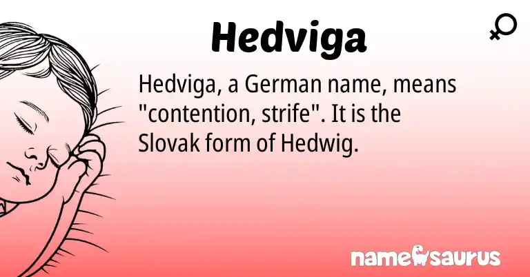 Infographic about Hedviga name meaning, Hedviga is a name from German, Slovak origin(s).
