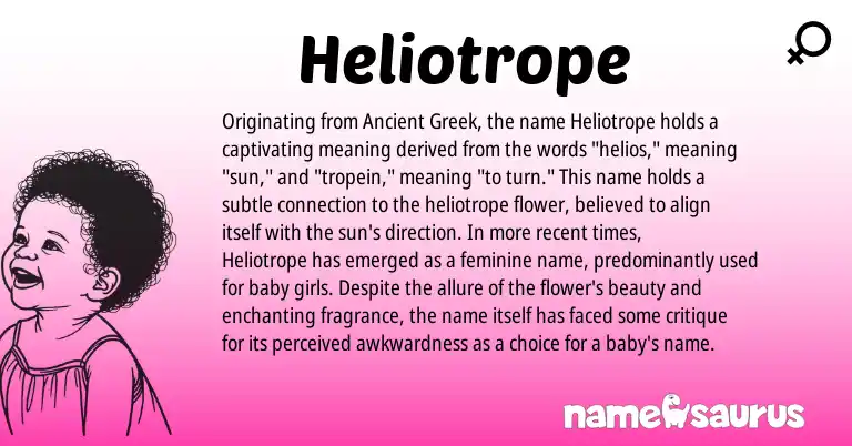 Infographic about Heliotrope name meaning, Heliotrope is a name from Ancient Greek origin(s).