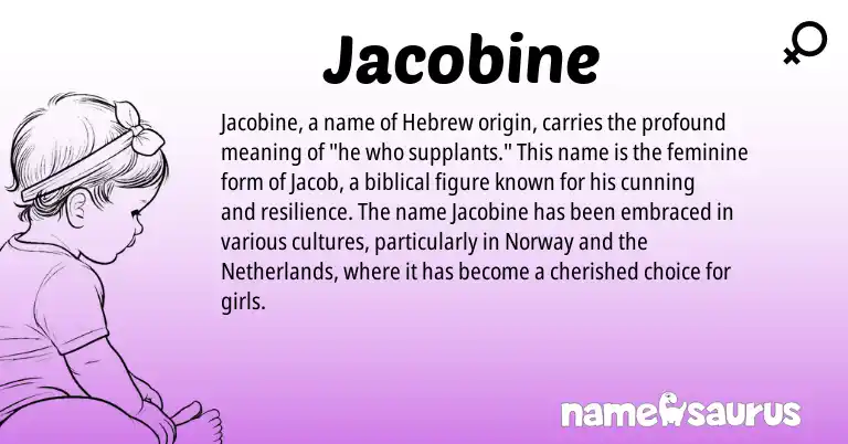 Infographic about Jacobine name meaning, Jacobine is a name from Norway, Netherlands, Hebrew origin(s).