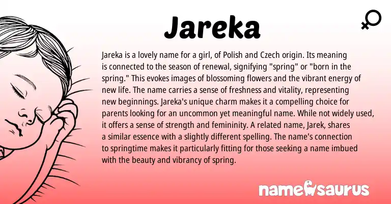 Infographic about Jareka name meaning, Jareka is a name from Czech, Polish origin(s).