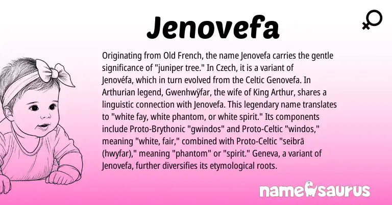 Infographic about Jenovefa name meaning, Jenovefa is a name from Proto-Brythonic, Old French, Arthurian, Celtic, Czech, Proto-Celtic origin(s).