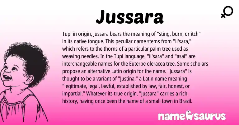 Infographic about Jussara name meaning, Jussara is a name from Tupi, Latin origin(s).