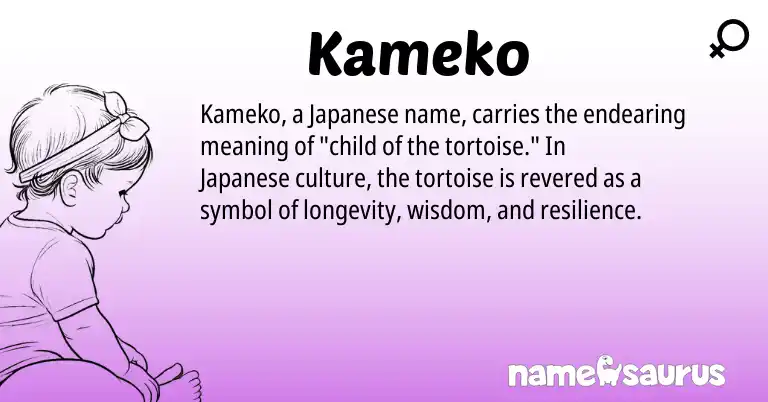Infographic about Kameko name meaning, Kameko is a name from Japanese origin(s).