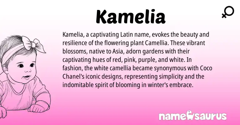 Infographic about Kamelia name meaning, Kamelia is a name from Latin origin(s).