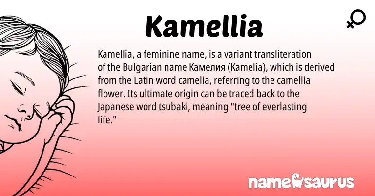 Infographic about Kamellia name meaning, Kamellia is a name from Bulgarian, Latin, Japanese origin(s).