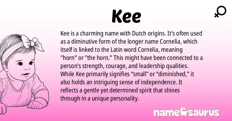 Infographic about Kee name meaning, Kee is a name from Dutch origin(s).