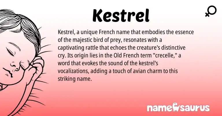Infographic about Kestrel name meaning, Kestrel is a name from French, Old French origin(s).