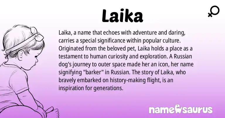 Infographic about Laika name meaning, Laika is a name from Popular Culture, Pet origin(s).