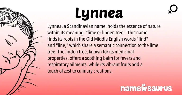 Infographic about Lynnea name meaning, Lynnea is a name from Middle English, Scandinavian origin(s).
