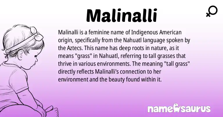 Infographic about Malinalli name meaning, Malinalli is a name from Indigenous American, Nahuatl, Aztec origin(s).