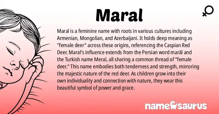 Infographic about Maral name meaning, Maral is a name from Armenian, Mongolian, Azerbaijani, Persian origin(s).