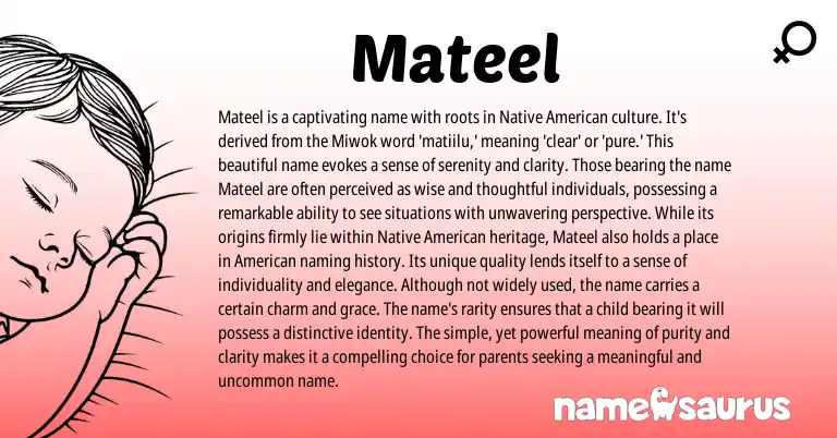 Infographic about Mateel name meaning, Mateel is a name from American origin(s).
