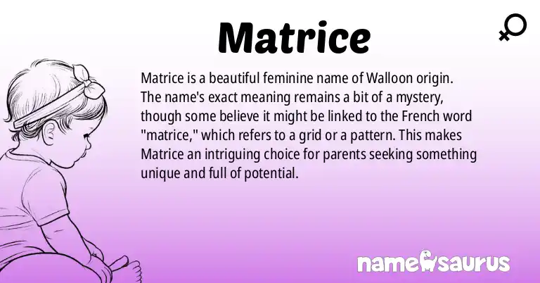 Infographic about Matrice name meaning, Matrice is a name from Walloon origin(s).