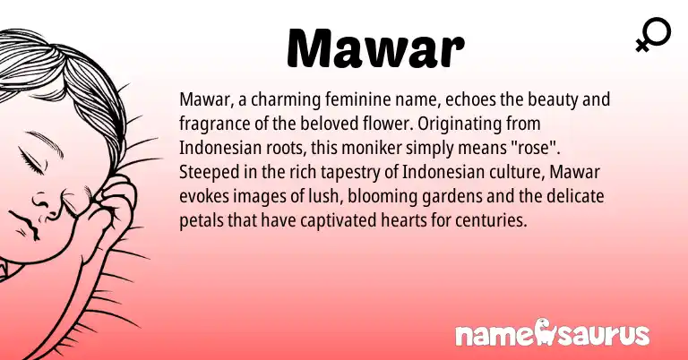Infographic about Mawar name meaning, Mawar is a name from Indonesian origin(s).